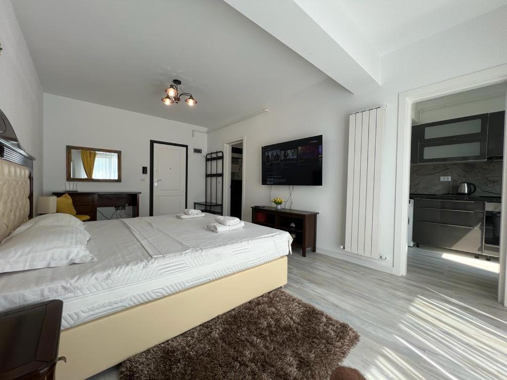 Urban Apartments And Studios - City Center Iasi Extérieur photo